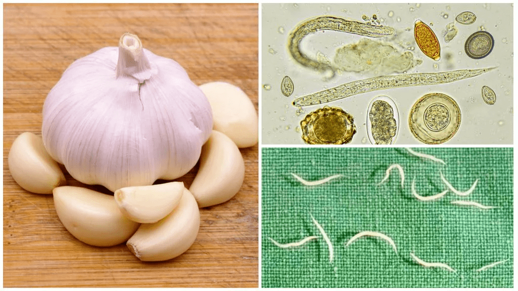 Parasites in the body's methods